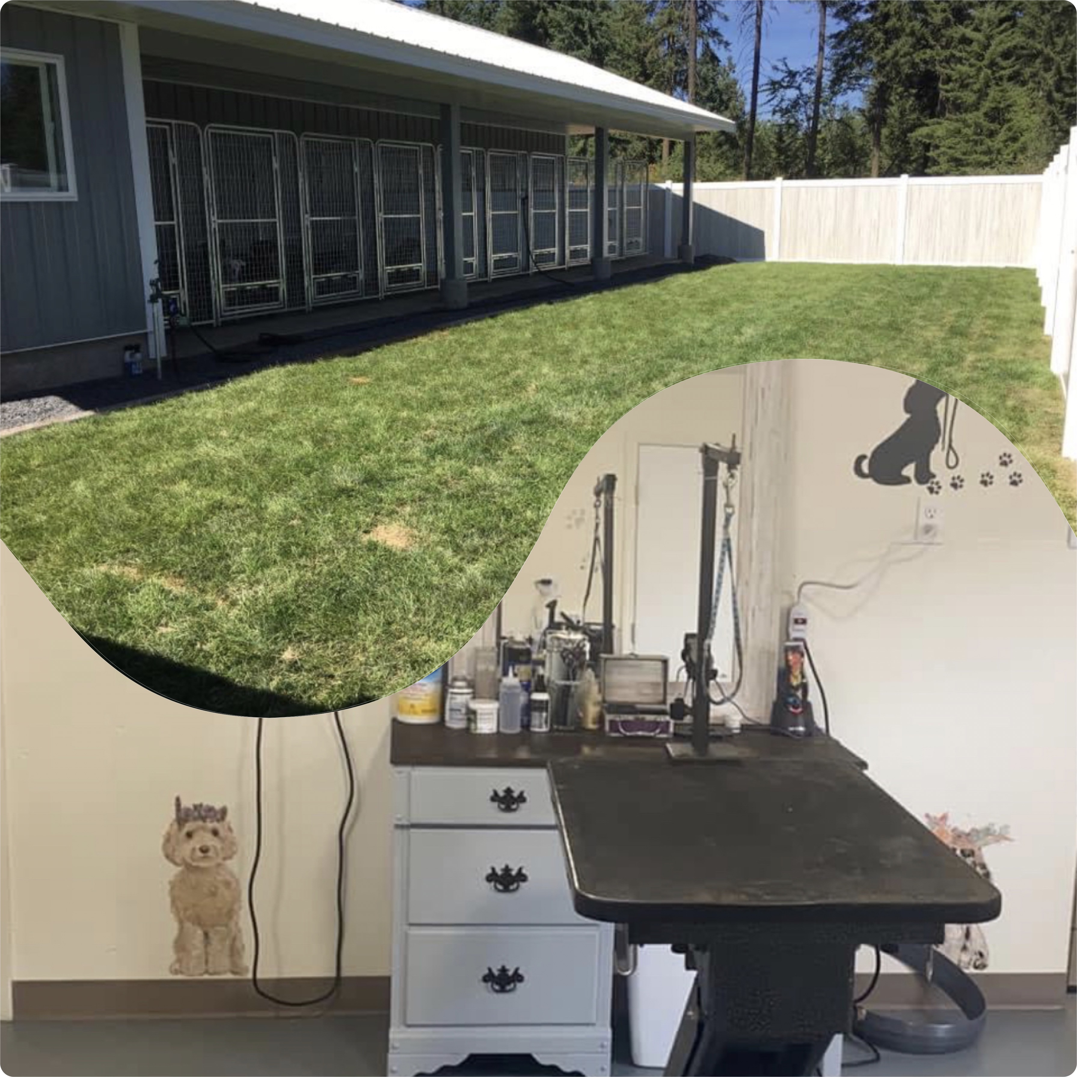 Bark Avenue pet Grooming & Boarding Booking Form